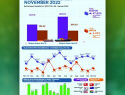 Nilai Ekspor Sultra Alami Penurunan Hingga 12 Persen di November 2022