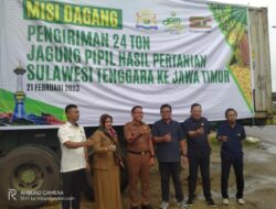 Lanjutkan Misi Dagang, Kadin Sultra Kirim 24 Ton Jangung Pipil ke Jatim