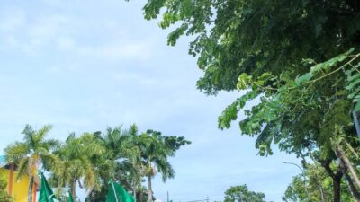 Gubernur Ali Mazi Buka Pawai HUT 70 NW di Sultra