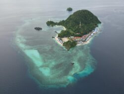 Desa Labengki Kecil Ditetapkan sebagai Desa Wisata,  Desa QRIS, Desa CBP dan Desa Hortikultura