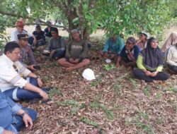 Fakta Dibalik Tudingan Penyerobotan Lahan di Wawonii, Marlion: Itu Statusnya Kawasan Hutan