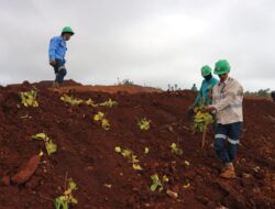 Dinas LH Konkep: Kegiatan Reklamasi PT GKP Merupakan Sebuah Kewajiban