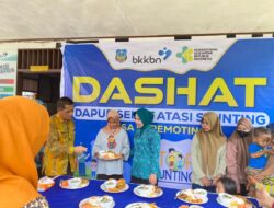 Ketua TP PKK Koltim, Tinjau Program Dashat di Karometingge