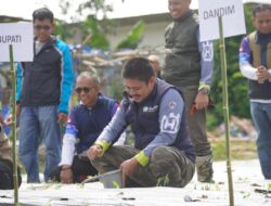 Tekan Laju Inflasi di Koltim, Bupati Ikuti Gerakan Tanam Cabai Nelombu