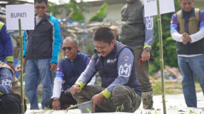 Tekan Laju Inflasi di Koltim, Bupati Ikuti Gerakan Tanam Cabai Nelombu
