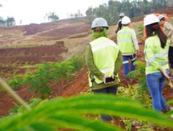 Kegiatan Penambangan di Pulau Kecil Masih Tetap Diperbolehkan