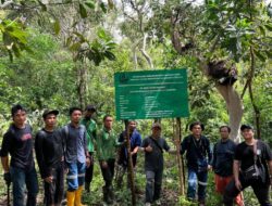 PT GKP Komitmen Menjaga Lingkungan Melalui Rehabilitasi DAS di Luar Lahan Konsesi