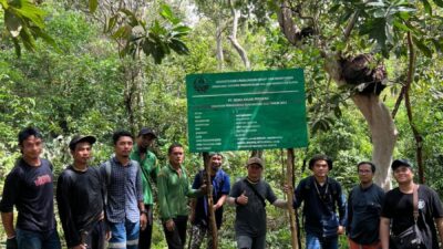 PT GKP Komitmen Menjaga Lingkungan Melalui Rehabilitasi DAS di Luar Lahan Konsesi