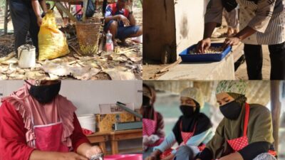 DATA BPS 2024: Tingkat Kemiskinan di Konkep Menurun, Sektor Tambang Beri Dampak Positif