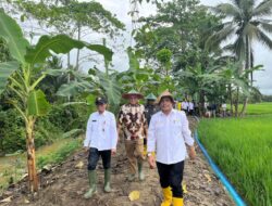 Sekda Sultra Dampingi Kementerian Pertanian Monitoring Program Perluasan Areal Tanam dan Pompanisasi di Koltim