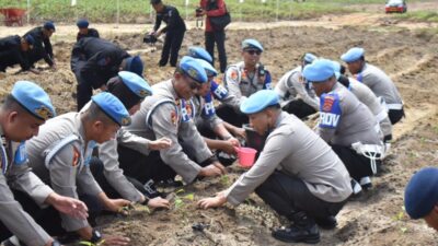 Bidpropam Polda Sultra Tunjukkan Peran Aktif dalam Meningkatkan Ketahanan Pangan Lokal