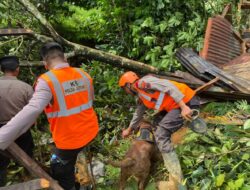 Ratusan Personel Brimob Diterjunkan Evakuasi Korban Banjir dan Longsor di Jateng