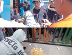 Mahasiswa Lepas Tikus di Kantor Kejati Sultra, Tantang Kajati Tindak Korupsi Tambang