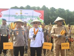 Sinergi Pemerintah dan Polri Dorong Ketahanan Pangan Lewat Panen Raya di Konawe Selatan