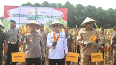 Sinergi Pemerintah dan Polri Dorong Ketahanan Pangan Lewat Panen Raya di Konawe Selatan