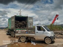 Ampuh Sultra Ungkap Dugaan Penyalahgunaan Kawasan Berikat Morosi PT. VDNI, KPPBC Diminta Bertindak Tegas