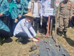 Pemkab Konawe Selatan Canangkan Gerakan Tanam Cabai Serentak