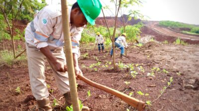 PT GKP Tegaskan Komitmen Pengelolaan Lingkungan di Wawonii Tak Terhenti