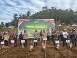 Polda Sultra Targetkan 6 Ribu Hektar Lahan Jagung pada Kuartal III