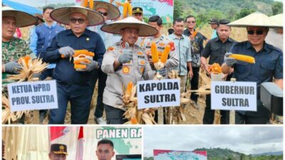 Panen Raya Jagung Serentak di Kolaka Timur, Kapolda Sultra Dorong Penguatan Infrastruktur Pertanian