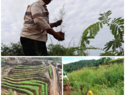 Komitmen Lingkungan Tak Berhenti, PT GKP Tegaskan Reklamasi Wawonii Tetap Berlanjut
