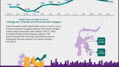 Ekonomi Sultra November 2025: Inflasi, Ekspor, dan Impor