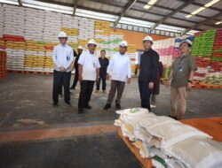 Pastikan Stok Aman, Anggota DPR RI Bahtra Banong Tinjau Gudang Bulog Sultra