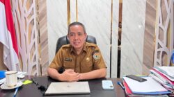 Pemprov Sultra Cetak 24.700 Hektare Sawah Baru