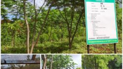 PT GKP Reklamasi 23,75 Hektare Lahan Pascatambang hingga Triwulan I 2026