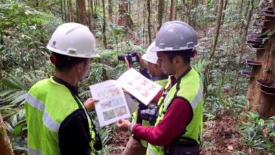 Program Biodiversitas PT GKP Ungkap Temuan Spesies Baru di Pulau Wawonii