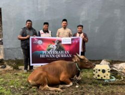 Idul Adha 1447 H, The Park Kendari Bagikan Sapi Kurban