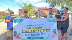 PT GKP Kurban 19 Ekor Sapi, Dorong Perputaran Ekonomi Desa di Wawonii