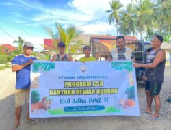 PT GKP Kurban 19 Ekor Sapi, Dorong Perputaran Ekonomi Desa di Wawonii