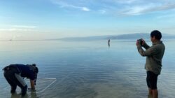 PT GKP Dorong Pengelolaan Ekosistem Wawonii Berbasis Monitoring Biodiversitas