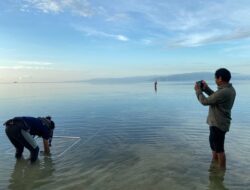 PT GKP Dorong Pengelolaan Ekosistem Wawonii Berbasis Monitoring Biodiversitas