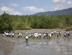 Jaga Pesisir, 1.000 Mangrove Ditanam di Ranooha Raya
