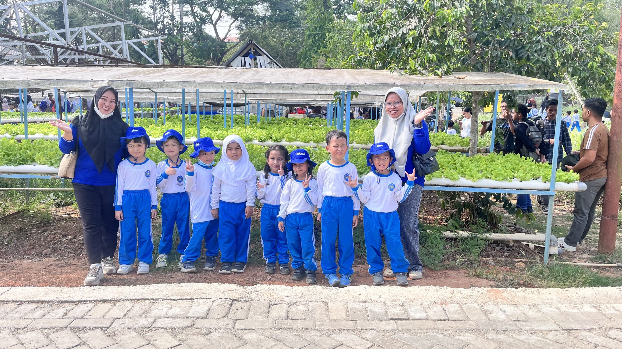 Kunjungan ke kebun Hidroponik Fakultas Pertanian UHO